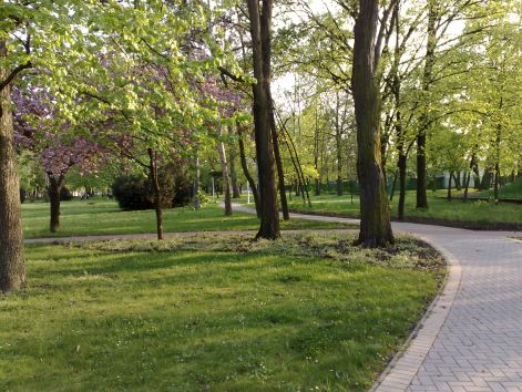 kepek_2010.04_059.jpg