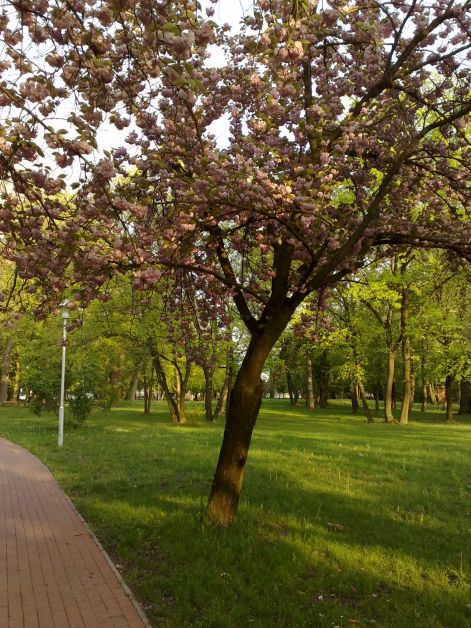 kepek_2010.04_060.jpg